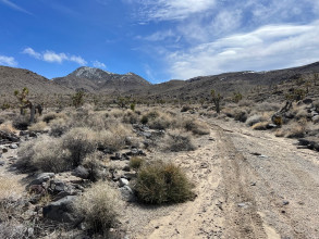 Panamint Valley Road